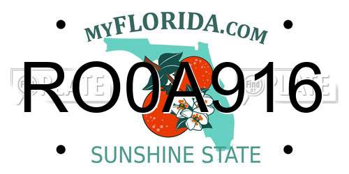 RO0A916 Florida License Plate