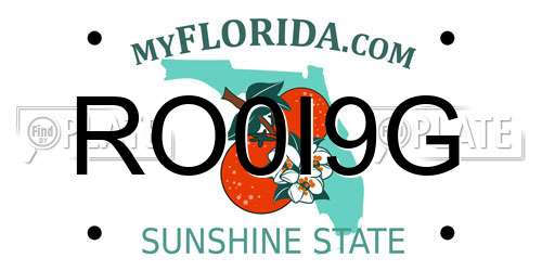 RO0I9G Florida License Plate
