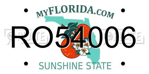 RO54006 Florida License Plate