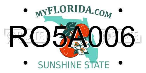 RO5A006 Florida License Plate