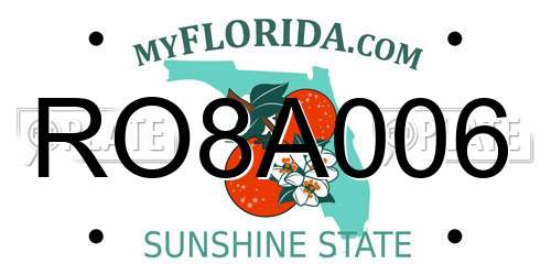 RO8A006 Florida License Plate