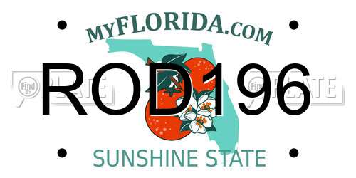 ROD196 Florida License Plate