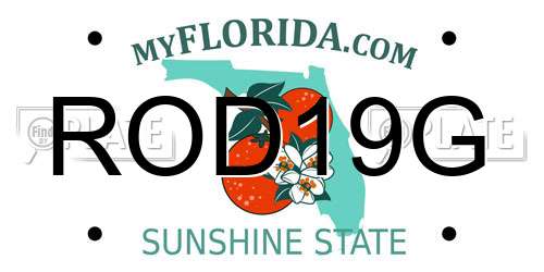 ROD19G Florida License Plate