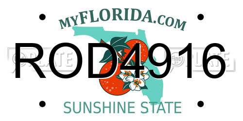 ROD4916 Florida License Plate