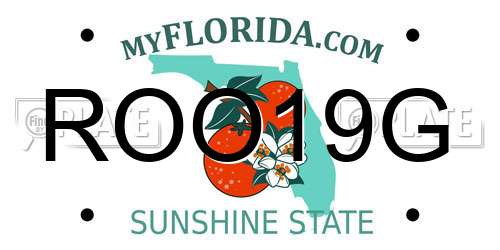 ROO19G Florida License Plate