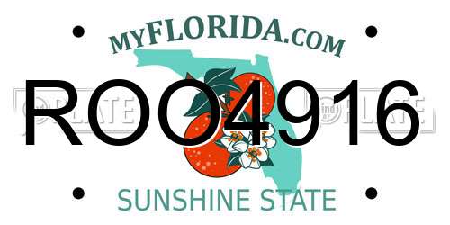 ROO4916 Florida License Plate