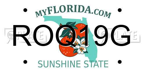 ROQ19G Florida License Plate