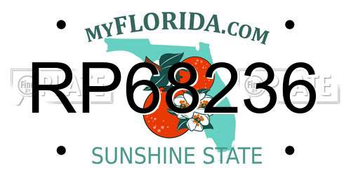 RP68236 Florida License Plate