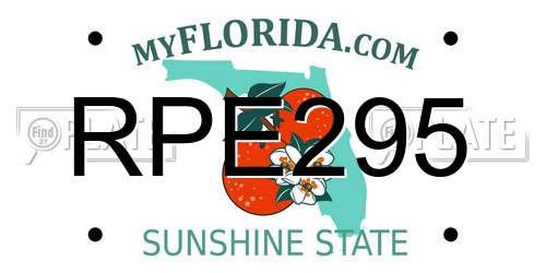 RPE295 Florida License Plate