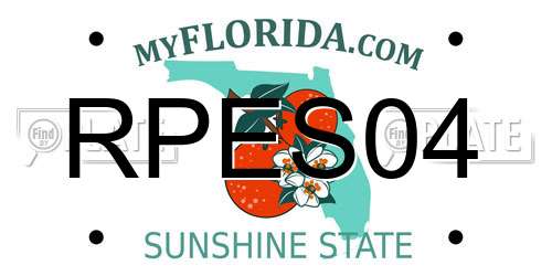 RPES04 Florida License Plate