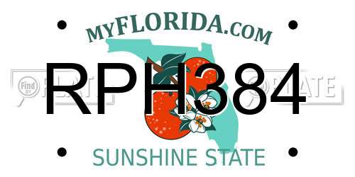 RPH384 Florida License Plate