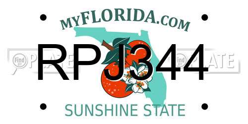 RPJ344 Florida License Plate