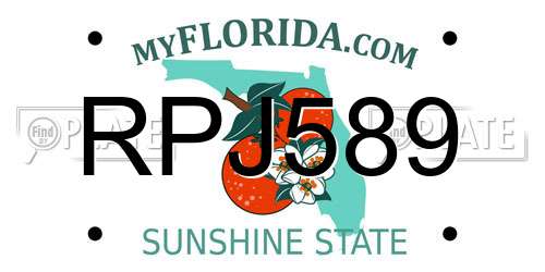 RPJ589 Florida License Plate