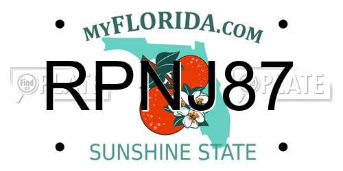 RPNJ87 Florida License Plate