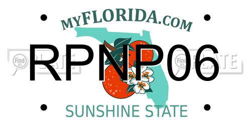 RPNP06 Florida License Plate