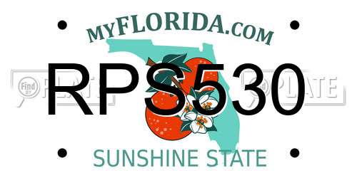 RPS530 Florida License Plate
