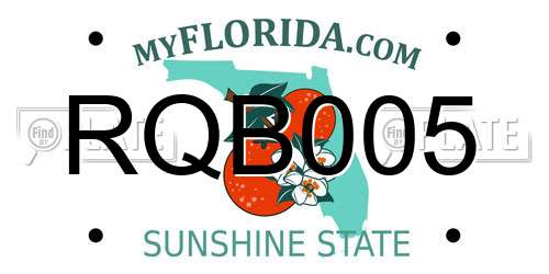 RQB005 Florida License Plate