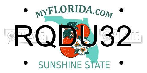 RQDU32 Florida License Plate