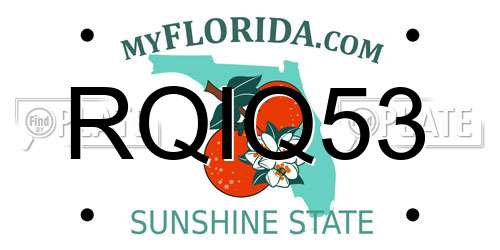 RQIQ53 Florida License Plate