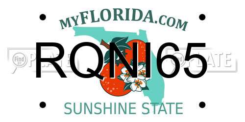RQNI65 Florida License Plate
