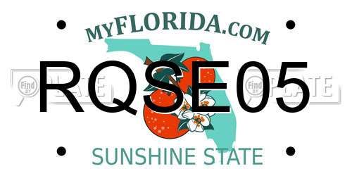 RQSE05 Florida License Plate