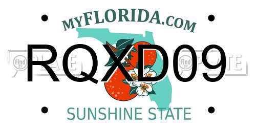 RQXD09 Florida License Plate