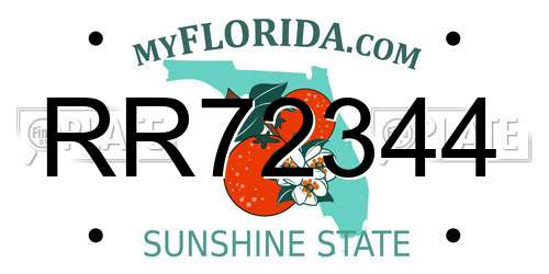 RR72344 Florida License Plate
