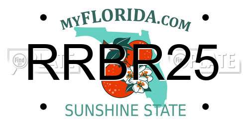 RRBR25 Florida License Plate