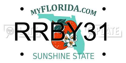 RRBY31 Florida License Plate
