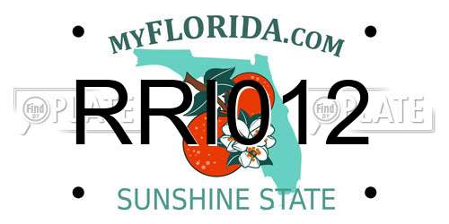 RRI012 Florida License Plate