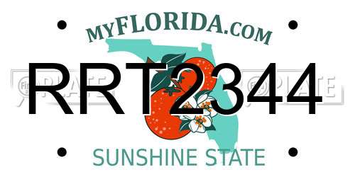RRT2344 Florida License Plate