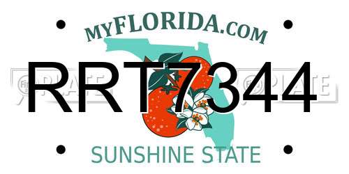 RRT7344 Florida License Plate