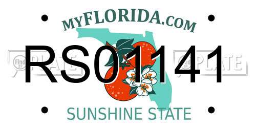 RS01141 Florida License Plate