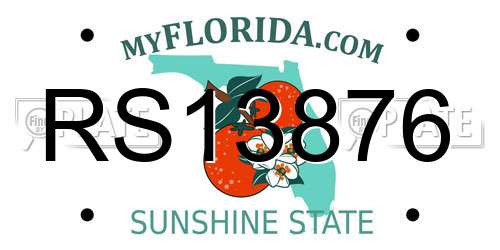 RS13876 Florida License Plate