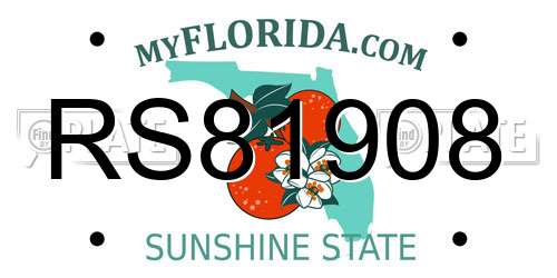 RS81908 Florida License Plate