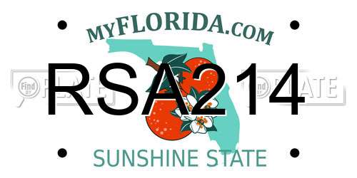 RSA214 Florida License Plate