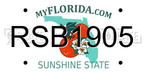 RSB1905 Florida License Plate