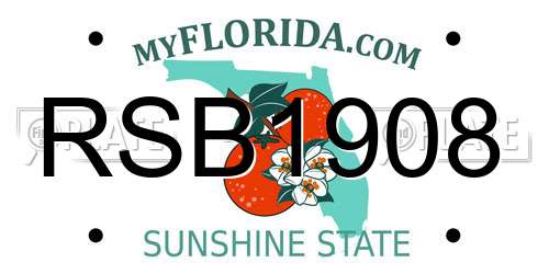 RSB1908 Florida License Plate