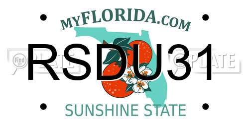 RSDU31 Florida License Plate