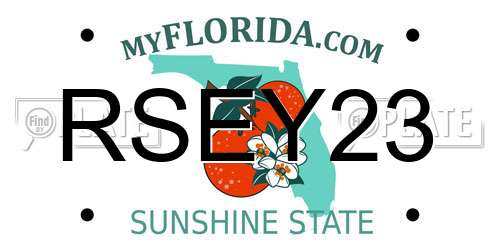 RSEY23 Florida License Plate