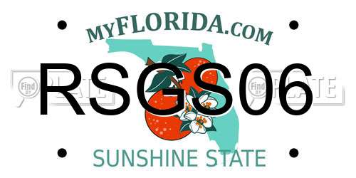 RSGS06 Florida License Plate