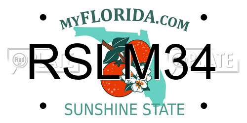 RSLM34 Florida License Plate