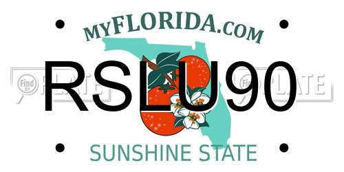 RSLU90 Florida License Plate
