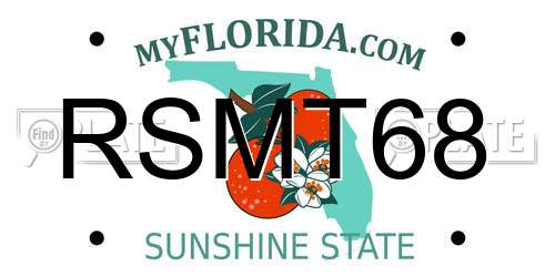 RSMT68 Florida License Plate