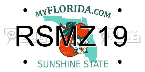 RSMZ19 Florida License Plate