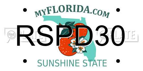 RSPD30 Florida License Plate
