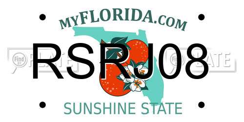 RSRJ08 Florida License Plate