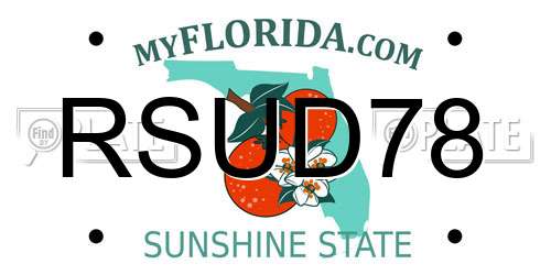 RSUD78 Florida License Plate