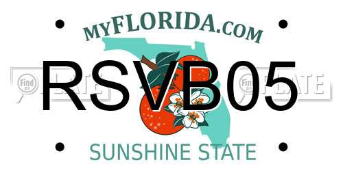 RSVB05 Florida License Plate