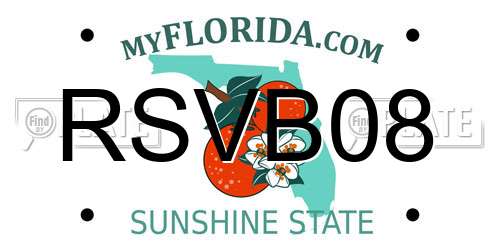 RSVB08 Florida License Plate